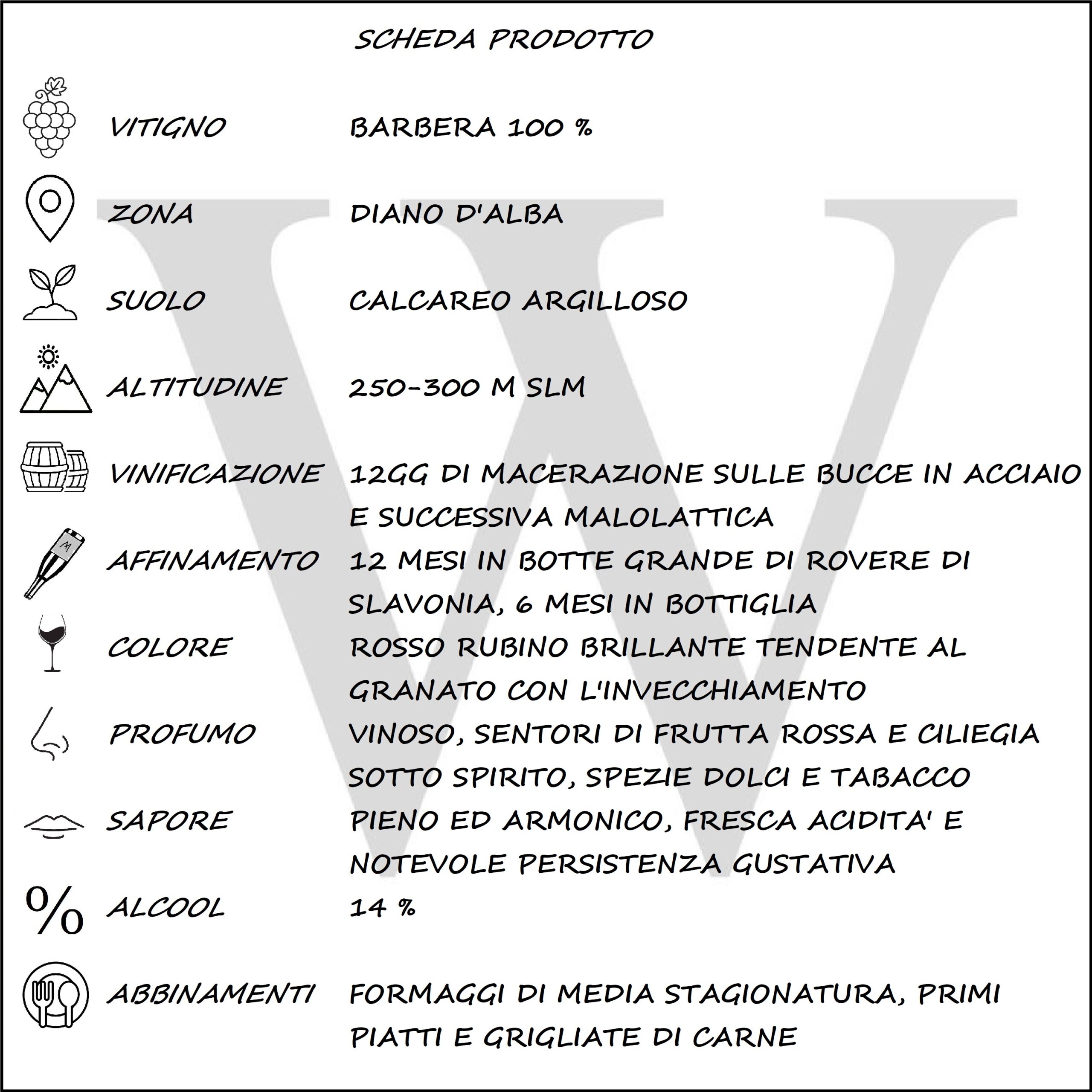 BARBERA FIVE RATTALINO